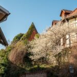 Quedlinburg: Guided City Highlights Walking Tour - Who Should Consider This Tour?