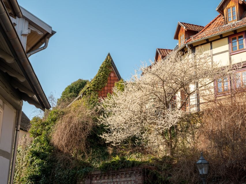 Quedlinburg: Guided City Highlights Walking Tour - Who Should Consider This Tour?