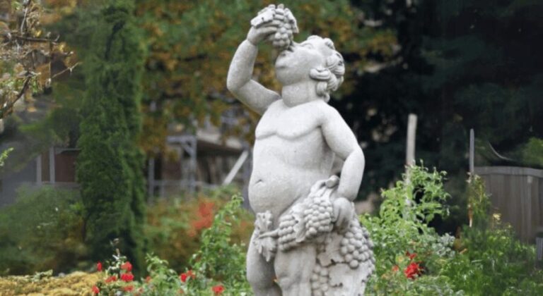 Quedlinburg UNESCO World Heritage Group Tour (private) - The Experience Itself: Walking Through History