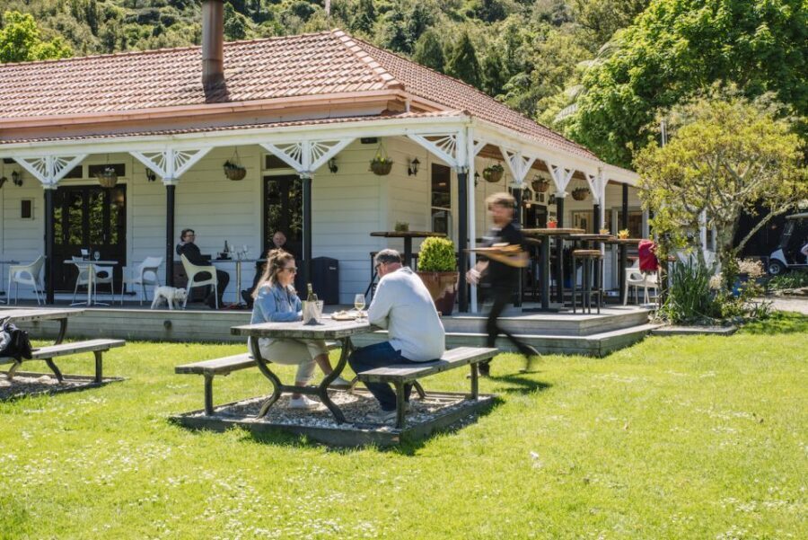 Queen Charlotte Sound Cruise with Lunch - The Experience in Context