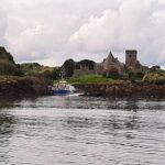 Queensferry: Sightseeing Cruise to Inchcolm Island - A Closer Look at the Experience