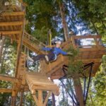 Queenstown: 2-Hour Zipline Tour with 4-Lines - Key Points
