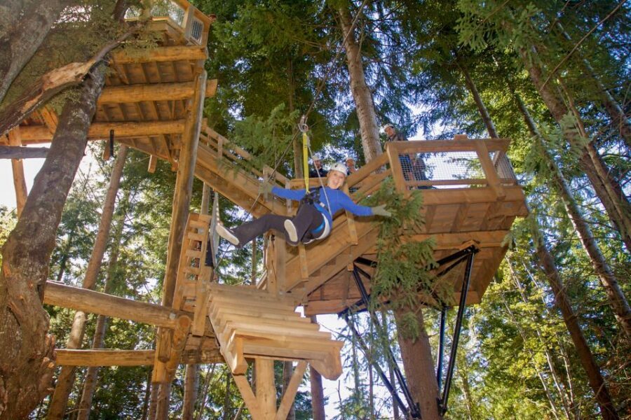 Queenstown: 2-Hour Zipline Tour with 4-Lines - Key Points