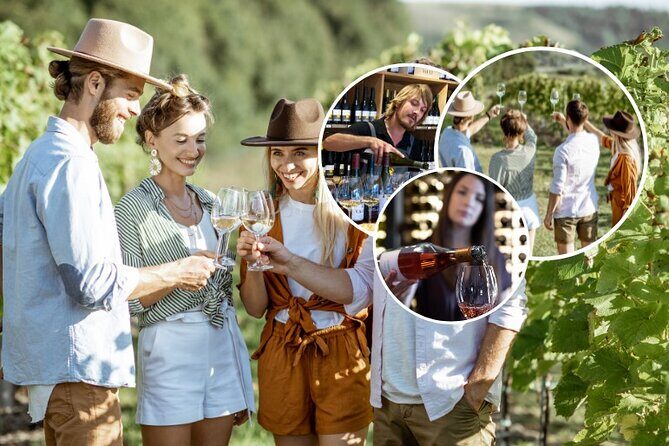 Queenstown Afternoon Wine Tour | Adults Only - Who Will Love This Tour?