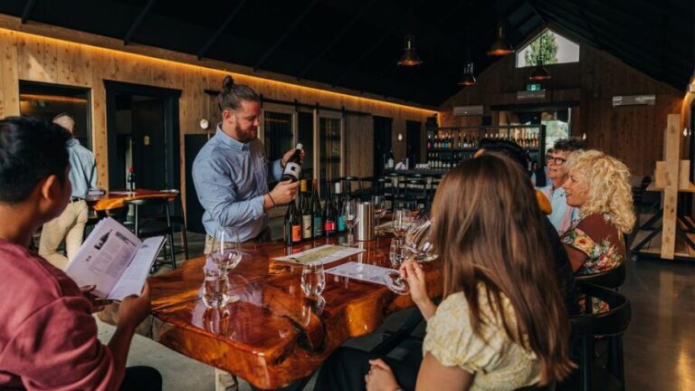 Queenstown: Classic Central Otago Wine Tasting Experience - What to Expect from This Central Otago Wine Tasting Experience