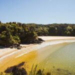 Queenstown: Day Trip to Stewart Island via Scenic Flight - Navigating the Scenic Flight Experience