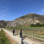 Queenstown: Guided E-Bike Tour with Winery Visits & Tastings - A Deep Dive into the Queenstown E-Bike & Winery Tour