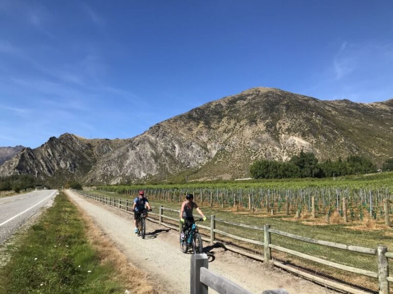 Queenstown: Guided E-Bike Tour with Winery Visits & Tastings - A Deep Dive into the Queenstown E-Bike & Winery Tour
