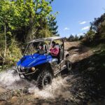 Queenstown Guided Self-Drive Buggy Tour - Authentic Experiences and What Travelers Say
