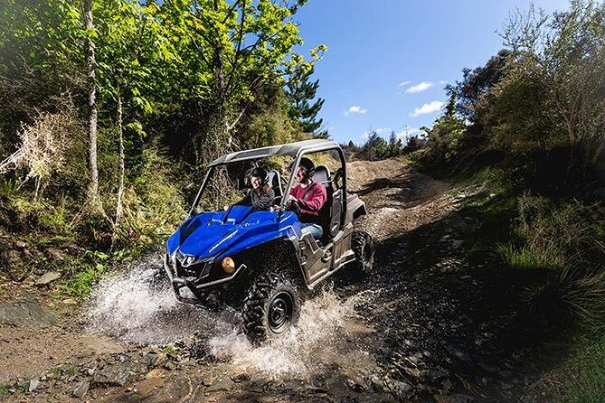 Queenstown Guided Self-Drive Buggy Tour - Authentic Experiences and What Travelers Say