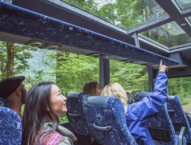 Queenstown: Milford Sound Coach & Cruise Full-Day Trip - Authentic Experiences & Review Highlights