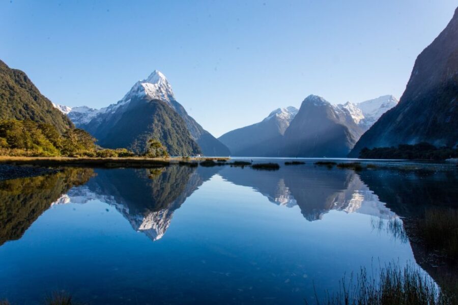 Queenstown: Milford Sound Cruise & Helicopter Alpine Tour - An In-Depth Look at the Milford Sound & Helicopter Tour