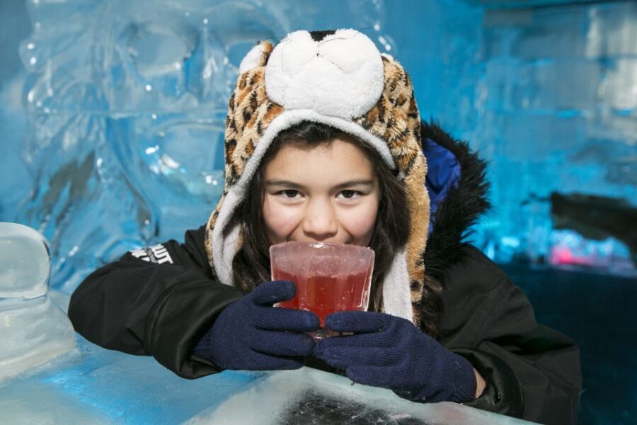 Queenstown: Minus 5 Ice Bar Experience with Drink Options - The Experience Itself: A Short but Memorable Visit