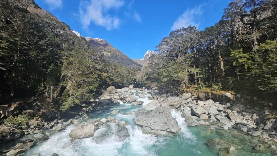 Queenstown: Routeburn Track Guided Full-Day Walk or Half Day - The Picnic Lunch & Relaxed Pace
