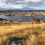 Queenstown to Dunedin Including Train, Small-Group Tour (One-Way) - FAQs