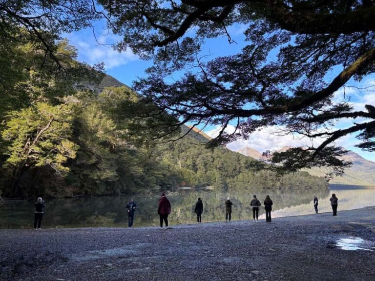 Queenstown to Te Anau via Milford Sound inc Cruise & Lunch - Exploring the Full Itinerary and What You Can Expect