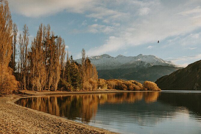 Queenstown to Wanaka One Way Small Group Tour - The Experience in Practice