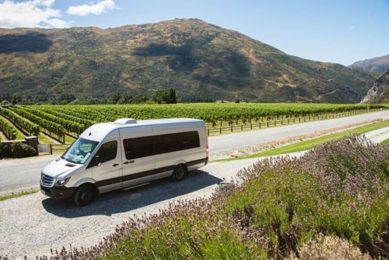 Queenstown: Twilight Wine and Craft Beer Tour - Final Thoughts: Why You Should Consider This Tour