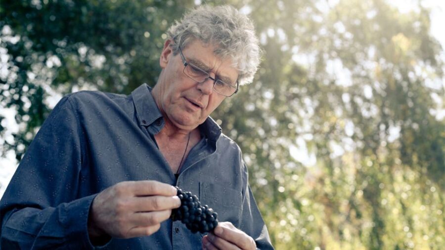 Queenstown: Valli Wine Tasting Experience - A Closer Look at the Valli Wine Tasting Experience