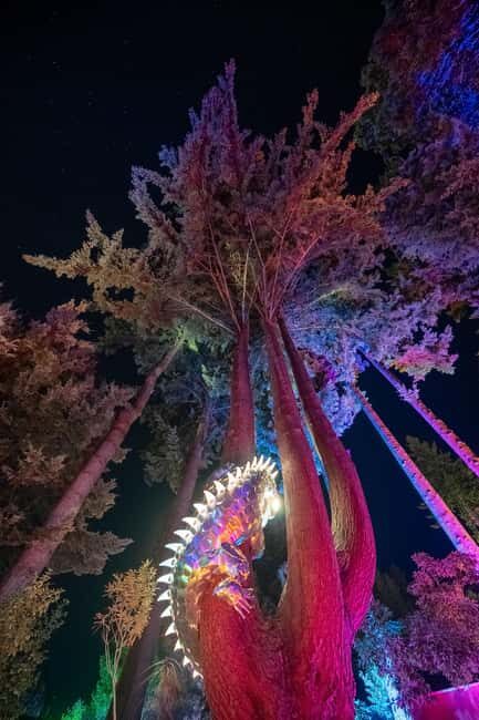 Queenstown: Whimsical Sensory Night Walk at LUMA Enchanted - Who Is This Tour Best For?