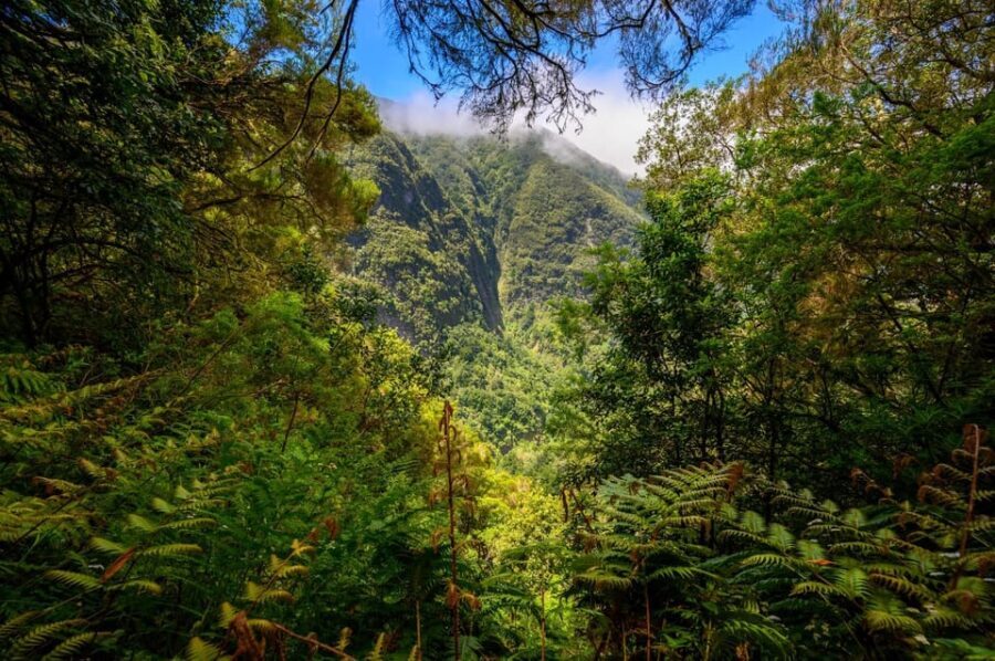 Queimadas Caldeirão Verde Madeira Island Walk - Authenticity and Value