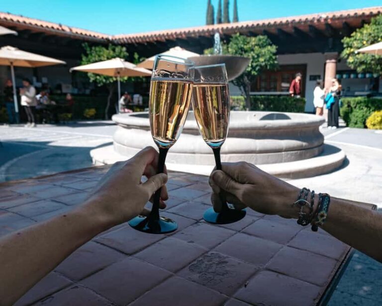 Querétaro: Art, Cheese and Wine Route - The First Stop: Artisanal Cheese and Wine at Viña Tx or Quesos La Mexicana