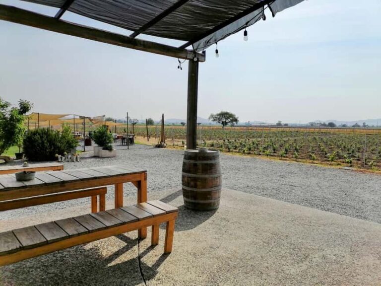 Querétaro: Bernal & Tequisquiapan Trip with Wine & Cheese - The Practical Details