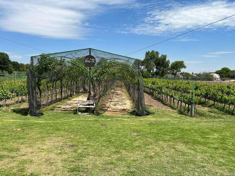 Querétaro: Cheese & Wine Tour In A Day - Why This Tour Offers Great Value