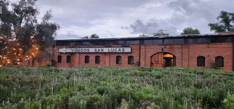 Querétaro: Independence Valley - Guanajuato Wine Tour - What This Tour Means for You as a Traveler