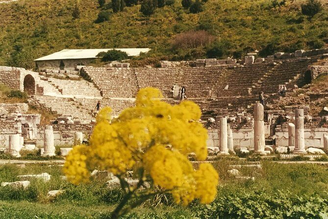 Quick-Ephesus Private Tour - Final Thoughts: Is It Worth It?