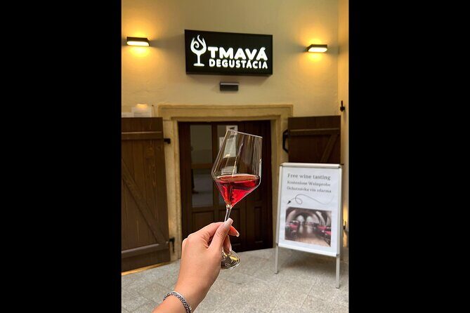 Quick Wine Tasting in Michalská - Who Is This Tour Best For?