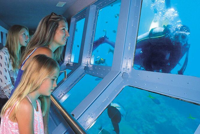 Quicksilver Outer Great Barrier Reef Snorkel Cruise from Palm Cove - What Makes This Tour Stand Out?