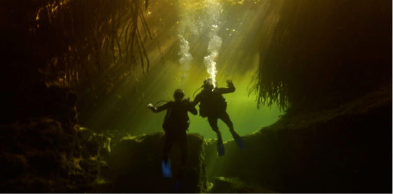 Quintana Roo: Cenote Dive - What to Expect on the Day