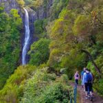 Rabaçal 25 Fontes Levada Walk in Small Groups - Why This Tour Offers Great Value