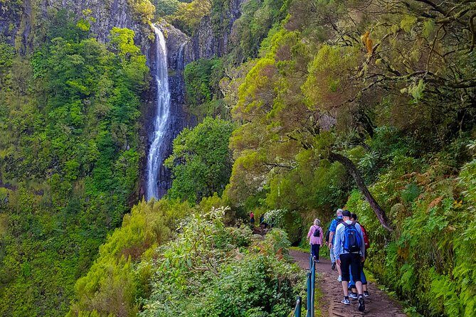 Rabaçal 25 Fontes Levada Walk in Small Groups - Why This Tour Offers Great Value
