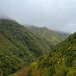 Rabaçal: 25 Fontes & Risco Levada Hiking Transfer - What You Need to Know
