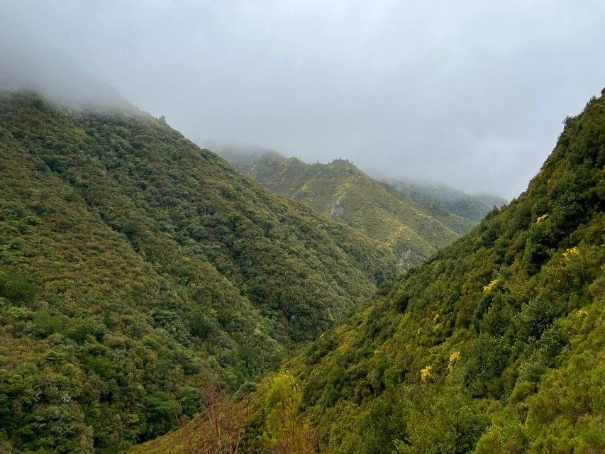Rabaçal: 25 Fontes & Risco Levada Hiking Transfer - What You Need to Know
