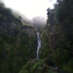 Rabaçal: Lagoa do Vento, Levada Risco and Levada 25 Fontes - Final Thoughts: Who Will Love This Tour?