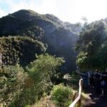 Rabaçal - Levada das 25 Fontes - An In-Depth Look at the Tour Experience