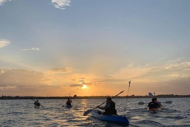 Raby Bay Wildlife Kayak Tour - Who Will Love This Experience