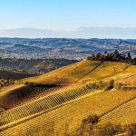 Radda in Chianti: Wine Tasting Tour with lunch at the Winery - Key Points