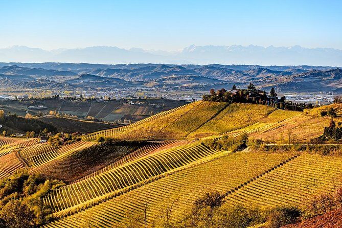 Radda in Chianti: Wine Tasting Tour with lunch at the Winery - Key Points