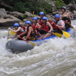 Rafting Tour, Transfer & Combo Options with Veg Lunch Option - The Experience: What You Can Expect from Start to Finish