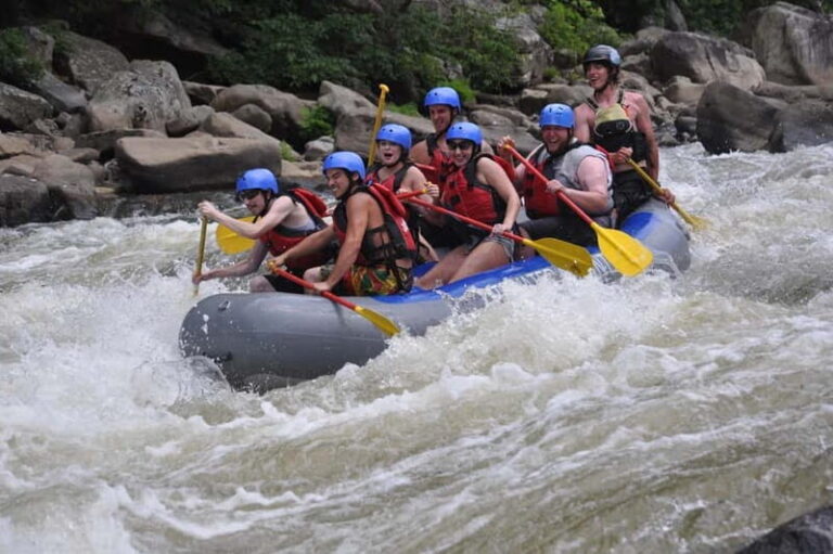 Rafting Tour, Transfer & Combo Options with Veg Lunch Option - The Experience: What You Can Expect from Start to Finish