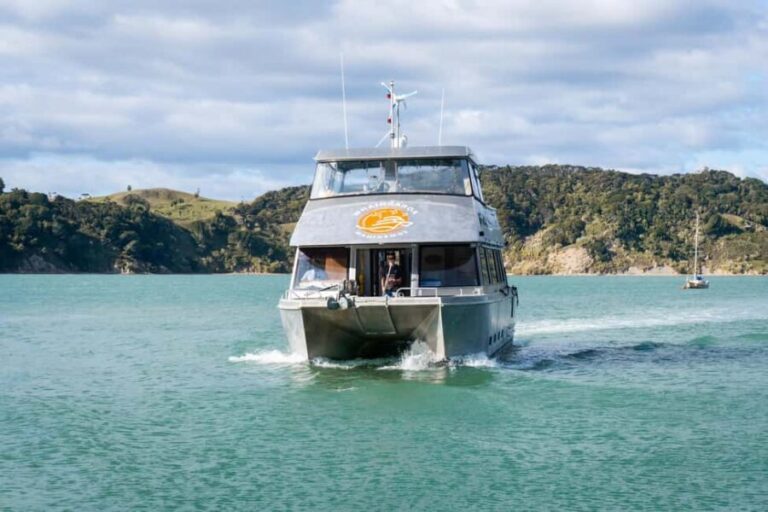 Raglan: Scenic Nature Boat Cruise - Who Should Consider This Tour?