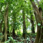Raiatea Island or Taha'a Boat Tour - Frequently Asked Questions