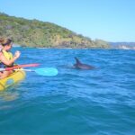 Rainbow Beach: Kayaking with Dolphins and Beach 4WD Tour - The Value of This Tour