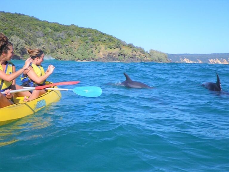 Rainbow Beach: Kayaking with Dolphins and Beach 4WD Tour - The Value of This Tour