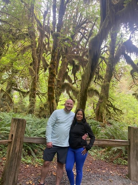 Rainforest and Olympic National Park Highlights