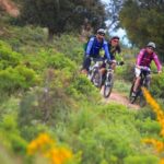 Ramatuelle: Tracks & Tasting Winery Tour by Mountain E-Bike - Detailed Breakdown of the Experience